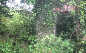 Windsor Castle offers 2 for 1