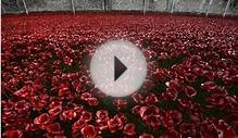 Drone tour of Tower of London poppies